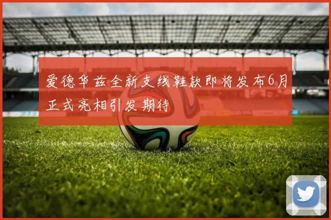 爱德华兹全新支线鞋款即将发布6月正式亮相引发期待